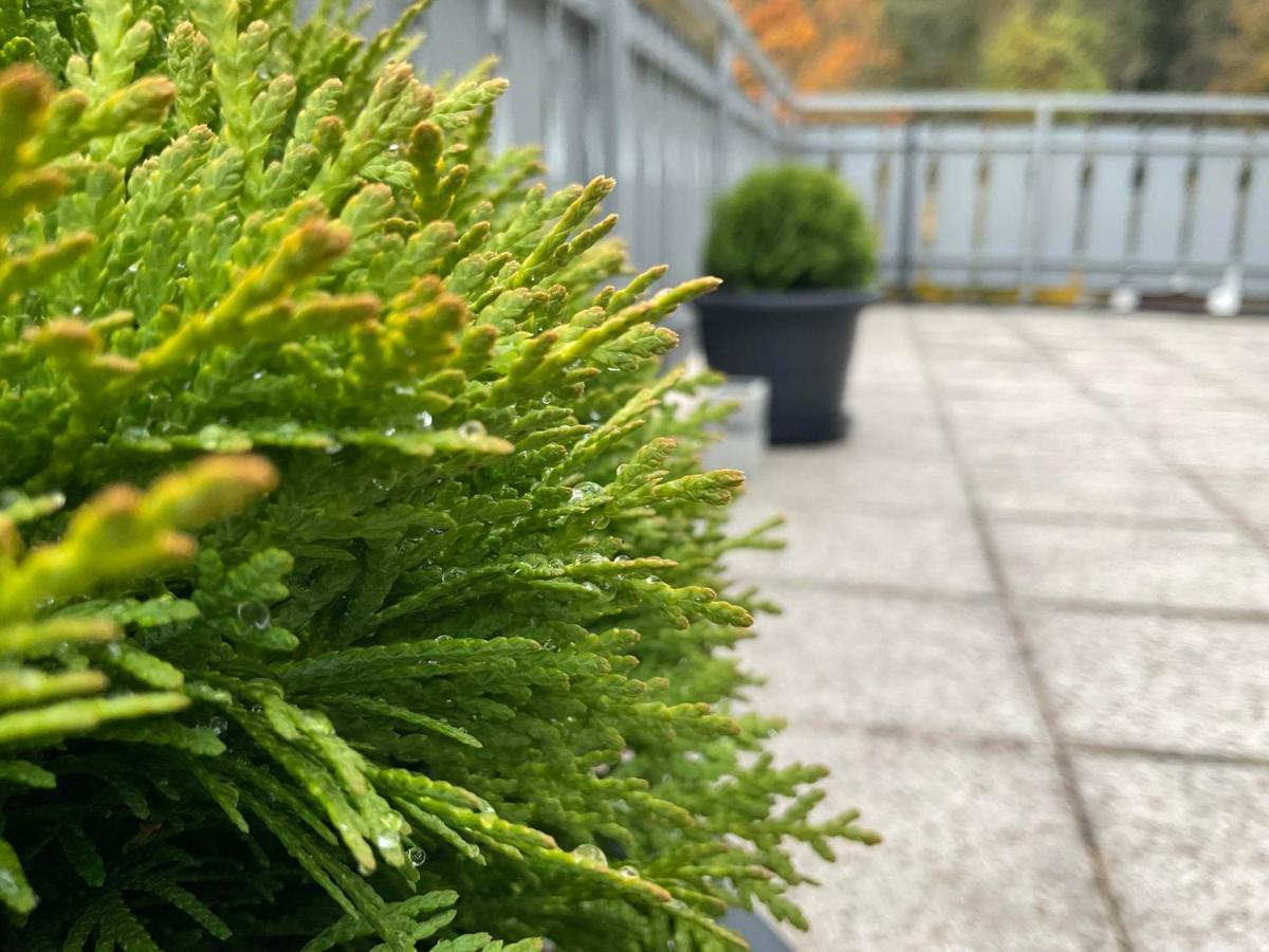 Ferienwohnung Schwarzwald Tannenzaepfle Baiersbronn Eksteriør billede