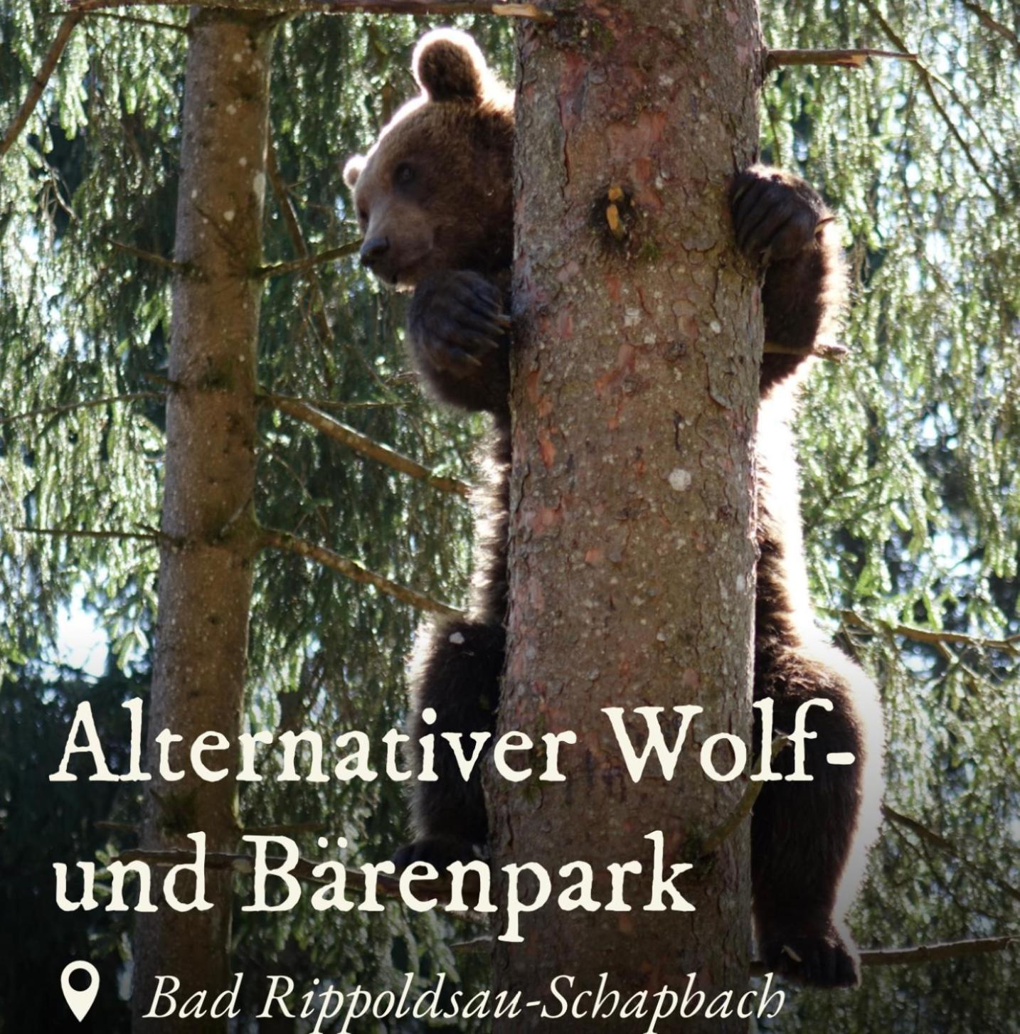 Ferienwohnung Schwarzwald Tannenzaepfle Baiersbronn Eksteriør billede