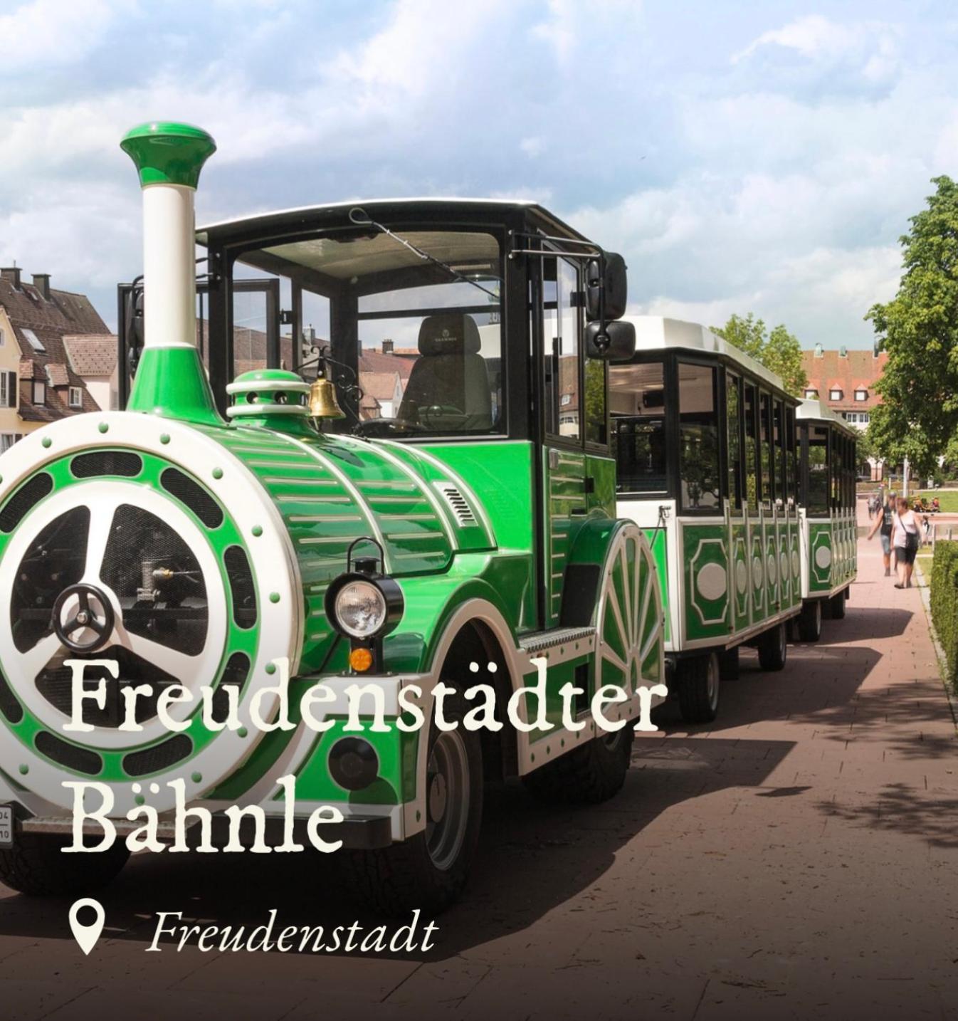 Ferienwohnung Schwarzwald Tannenzaepfle Baiersbronn Eksteriør billede